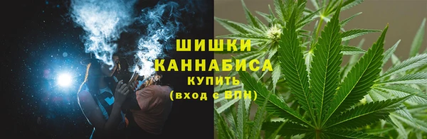 винт Вяземский