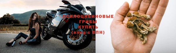 стаф Волосово