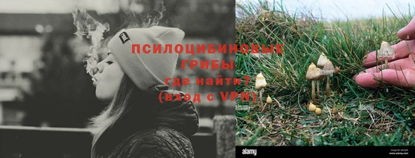 шишки Нея