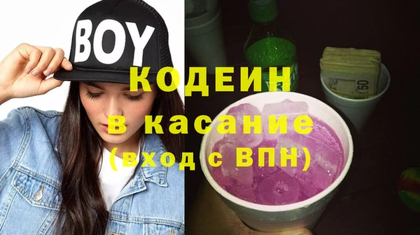 винт Вяземский