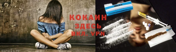 винт Вяземский
