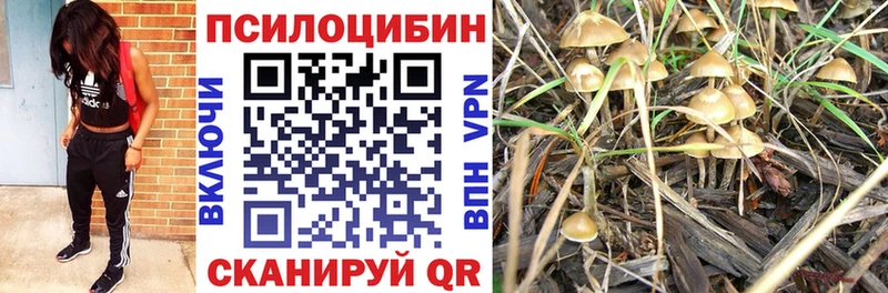 Псилоцибиновые грибы мухоморы  Кировград 